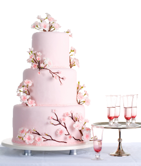 Your Wedding Cake